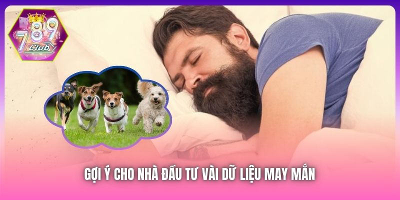 Gợi ý cho nhà đầu tư vài dữ liệu may mắn