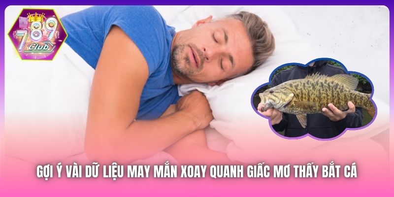 Gợi ý vài dữ liệu may mắn xoay quanh giấc mơ thấy bắt cá