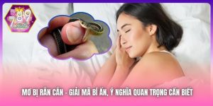 Mơ Bị Rắn Cắn - Giải Mã Bí Ẩn, Ý Nghĩa Quan Trọng Cần Biết