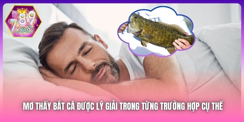 Mơ thấy bắt cá được lý giải trong từng trường hợp cụ thể