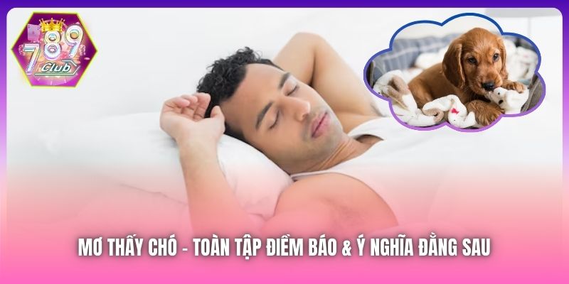 Mơ Thấy Chó | Toàn Tập Điềm Báo & Ý Nghĩa Đằng Sau