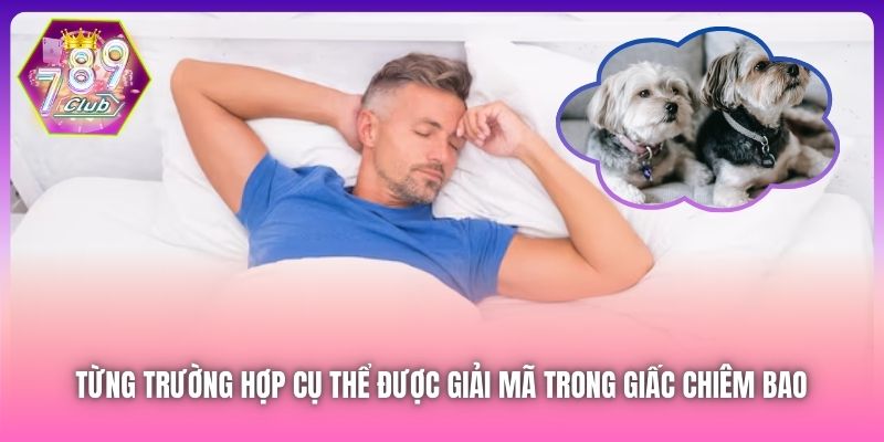 Từng trường hợp cụ thể được giải mã trong giấc chiêm bao