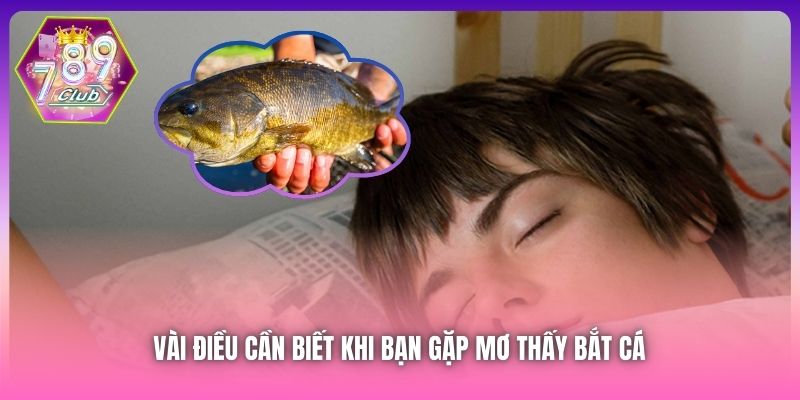 Vài điều cần biết khi bạn gặp mơ thấy bắt cá